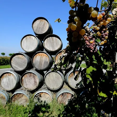 Trere Country house Faenza