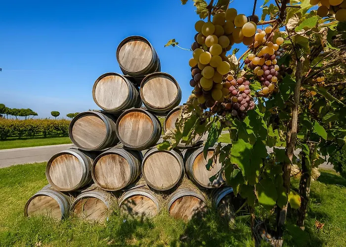 Trere منزل ريفي *