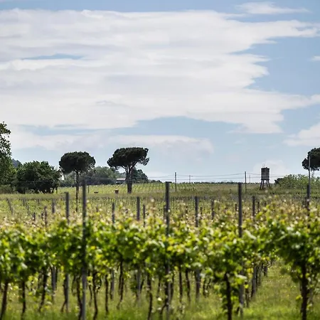 Trere Faenza