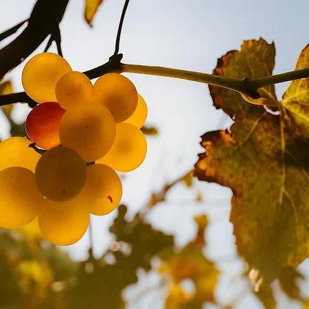 Trere カントリーハウス *