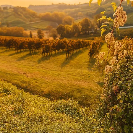 Trerè Casa di campagna *