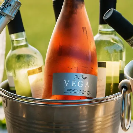 Trere カントリーハウス ファエンツァ