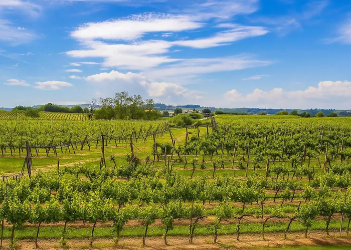 Trere Летний дом