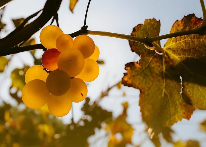 Trere Εξοχικό σπίτι *