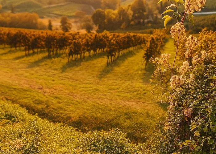 Trere Летний дом *