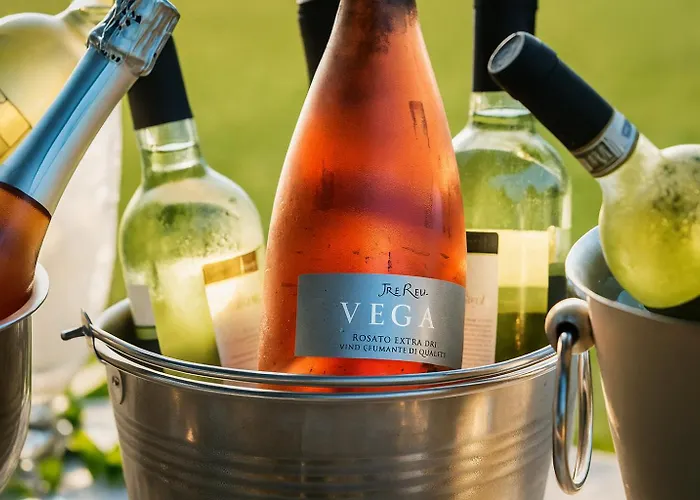 Trere Летний дом Фаэнца